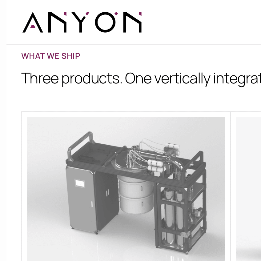 Anyon